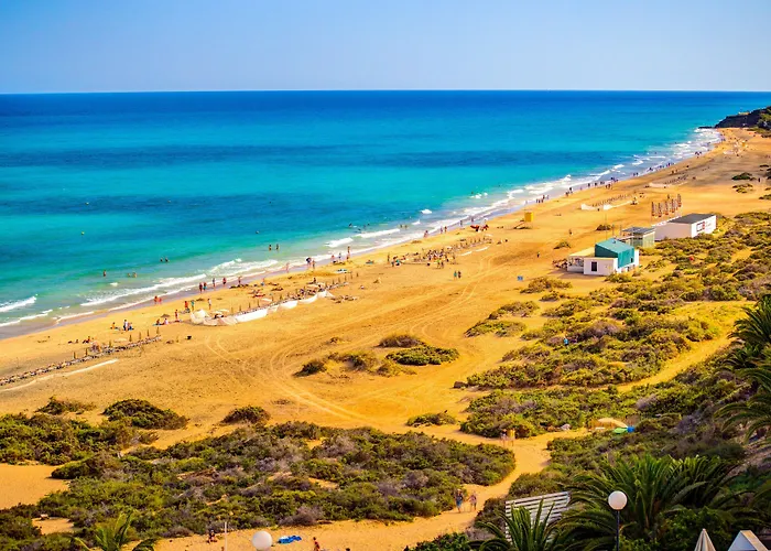 Sbh Crystal & - Adults Only